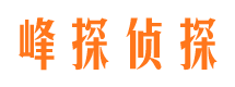 云岩市私家侦探